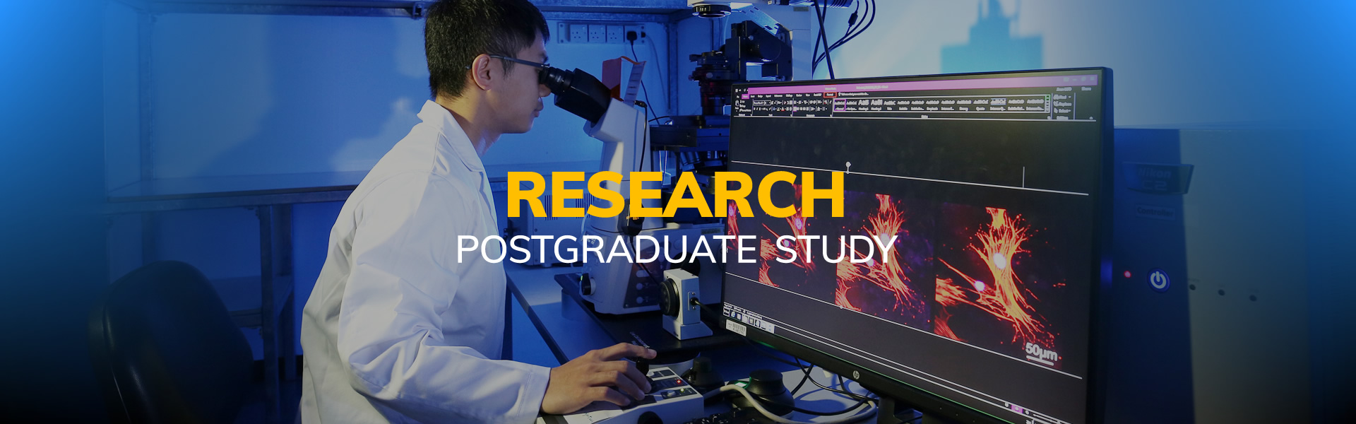 Research Postgraduate Study
