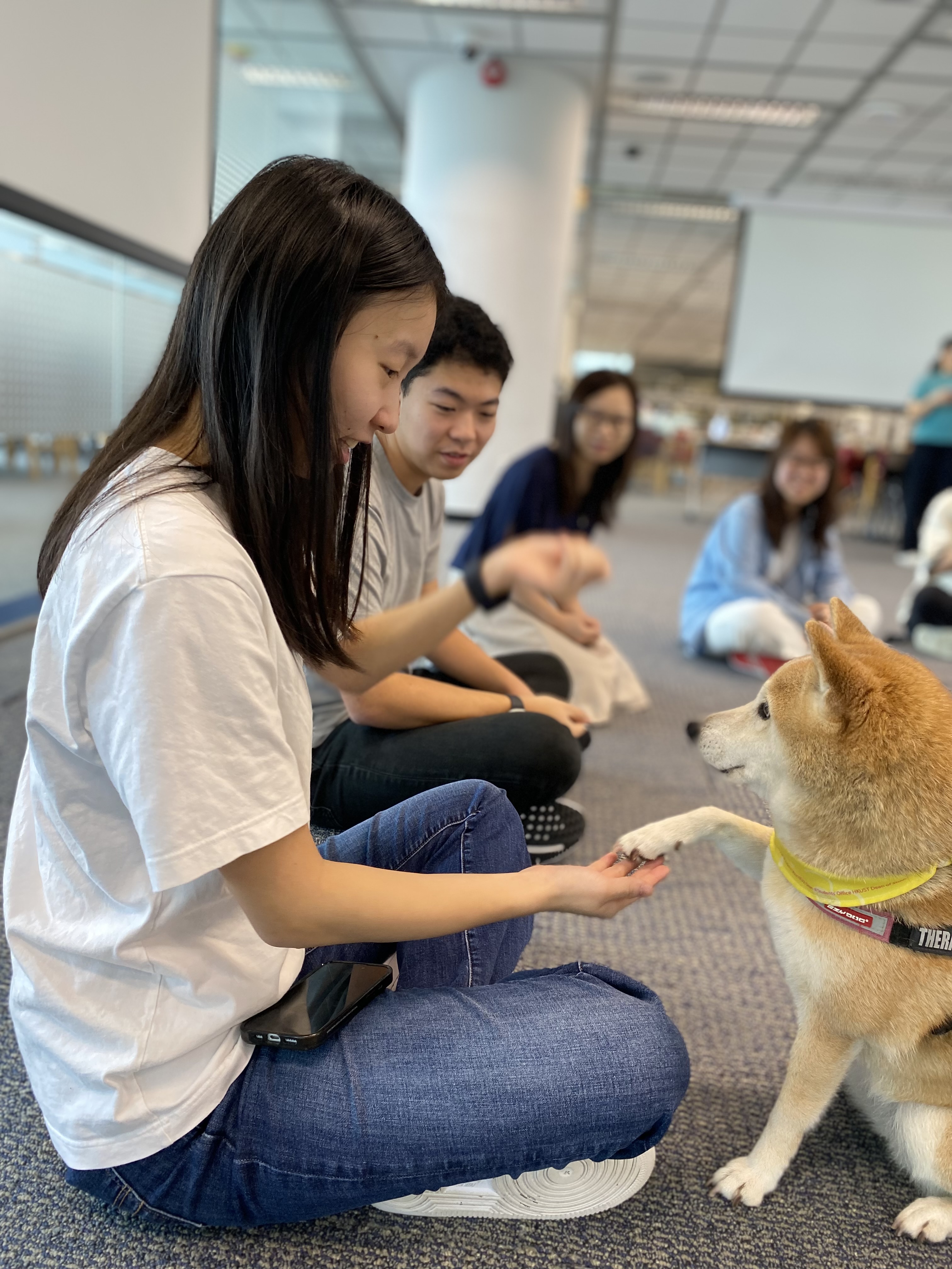 Mingling with therapy dog