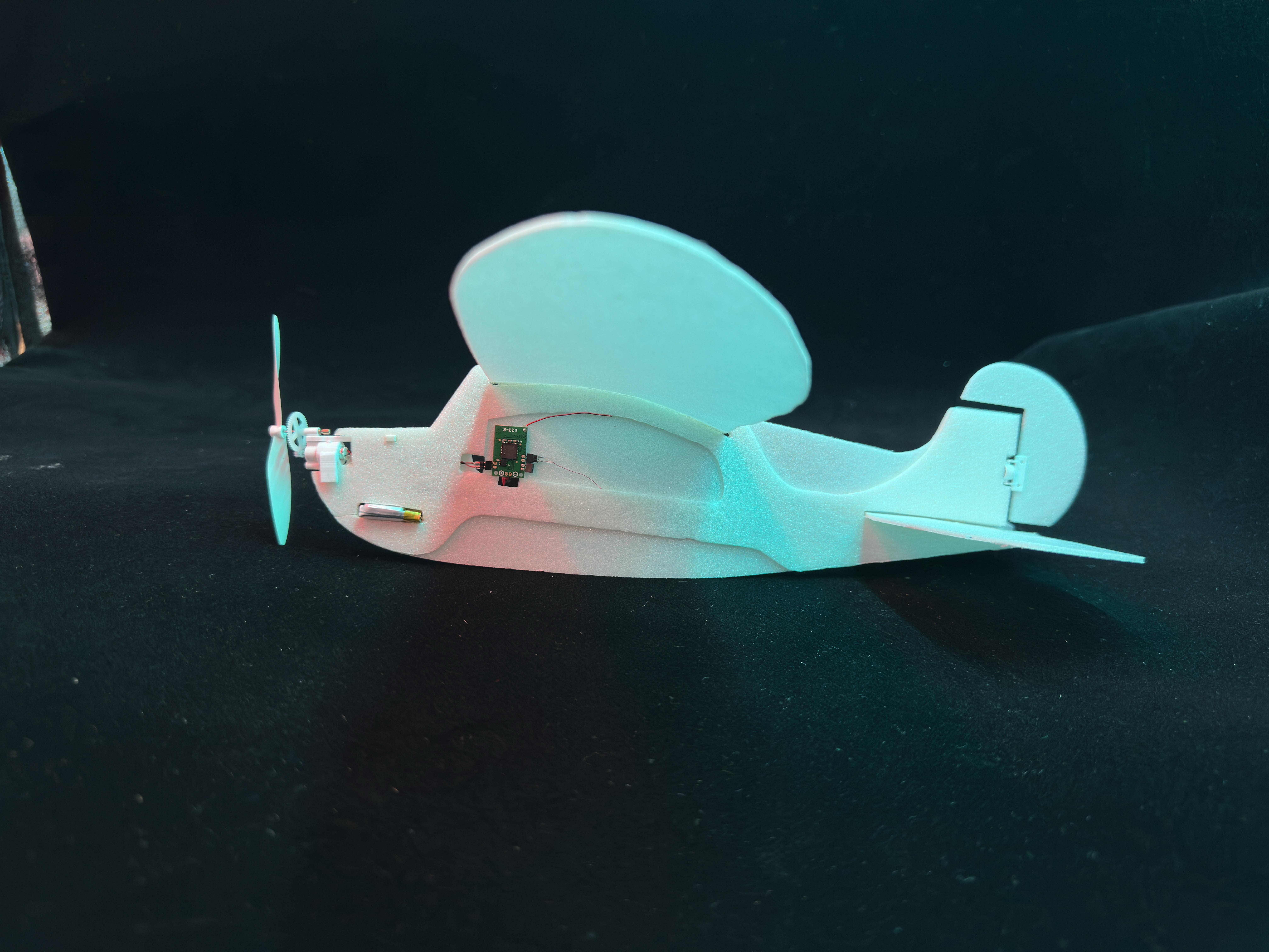 8.5-gram indoor model plane designed by members of Prof. Shi's research team