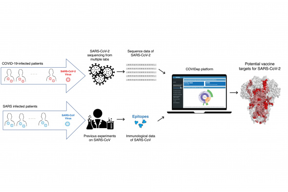 The new platform, COVIDep, periodically pools SARS-CoV-2 sequence data and compares with experimentally-determined epitopes of SARS-CoV, to provide scientists around the world an up-to-date set of vaccine target recommendations for COVID-19.