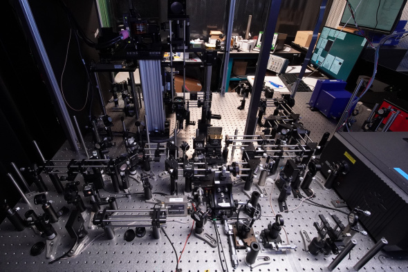 The group utilized the adaptive optics two photon endomicroscopy system to investigate neuronal plasticity in the hippocampus, a critical deep brain structure, and revealed the relationship between somatic and dendritic activity of pyramidal neurons within the hippocampus.