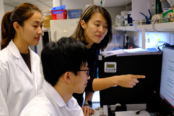 (From right) Prof. Angela Wu, Associate Professor of HKUST’s Division of Life Science and Department of Chemical and Biological Engineering, postdoctoral fellow Dr. Yu Lei as well as co-author of the paper, Tam Sing-Ting
