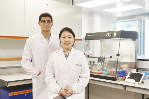 HKUST bioengineering PhD gradates Dr. Lu Xiao (right) and Dr. Alan Rodriguez in their laboratory in the Hong Kong Science and Technology Park