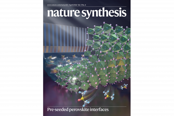 Conceptual illustration showing how the “slow-release solvent” strategy repairs buried interfaces in perovskite thin films. This research was published in Nature Synthesis and featured as the journal’s cover article for the April 2026 issue (Volume 5, Issue 4).