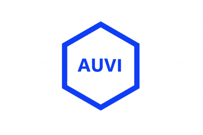 AuVi Entertainment Inc. Limited