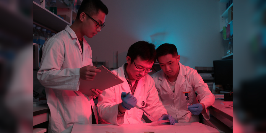 为扶持初创企业家，科大提供了所需的实验室及尖端设备让他们进行实验和测试。左起：杨中光、王日及黄嘉钱。