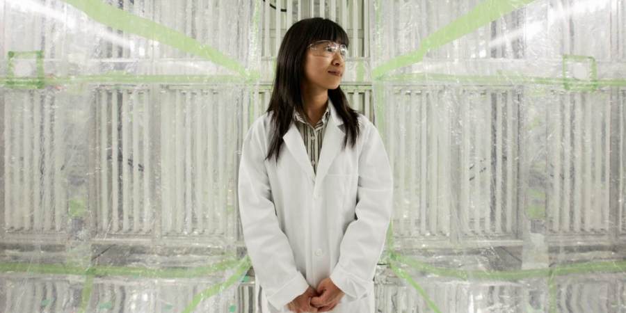 Prof. Sally Ng Nga-Lee inside the Environmental Chamber Facility in her lab at Georgia Institute of Technology, where she is delivering greater understanding of aerosols and air pollution.