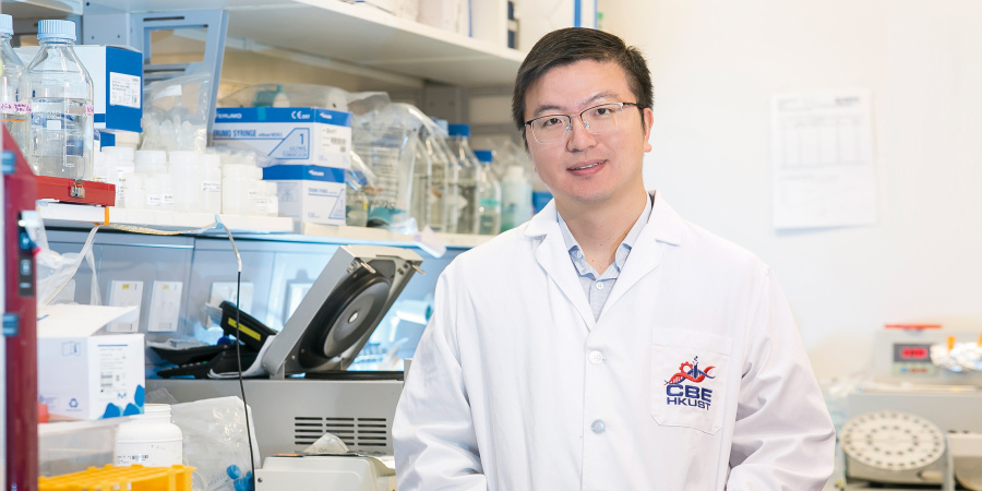 Prof. Sun Fei believes the process of creating things is an exploration and he enjoys this process very much.