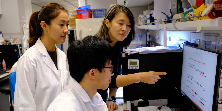 （右起）科大生命科學部和化學及生物工程學系副教授吳若昊教授、博士後研究員于雷博士及論文共同作者譚升婷