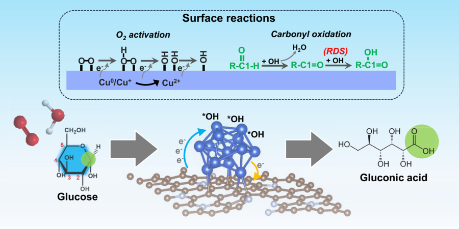 Innovative catalytic mechanism for selective biomass oxidation: The schematic illustrates the in-situ generation of surface-bound hydroxyl radicals on low-valence copper (Cu⁰/Cu⁺) sites, enabling highly selective carbonyl oxidation using only ambient air and water. This green catalytic pathway eliminates the need for traditional oxidants and represents a significant advancement in sustainable biomass conversion.
