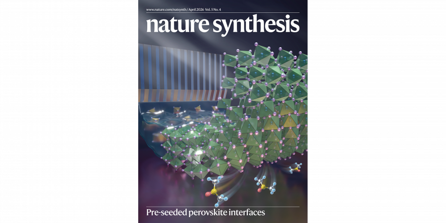 Conceptual illustration showing how the “slow-release solvent” strategy repairs buried interfaces in perovskite thin films. This research was published in Nature Synthesis and featured as the journal’s cover article for the April 2026 issue (Volume 5, Issue 4).