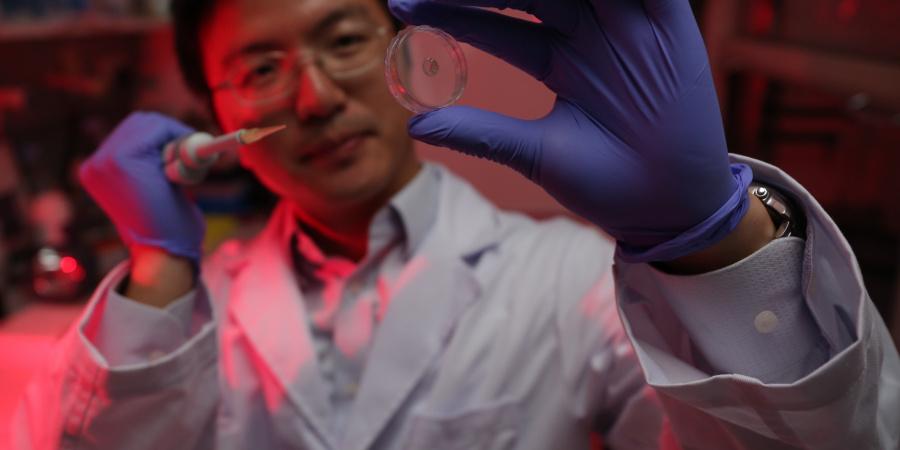 Prof Fei Sun and the new protein-based hydrogel developed by his team.