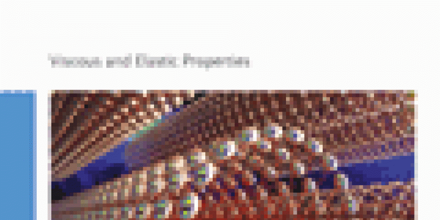 Prof V G Chigrinov Published a New Book: "Liquid Crystals - Viscous and Elastic Properties"