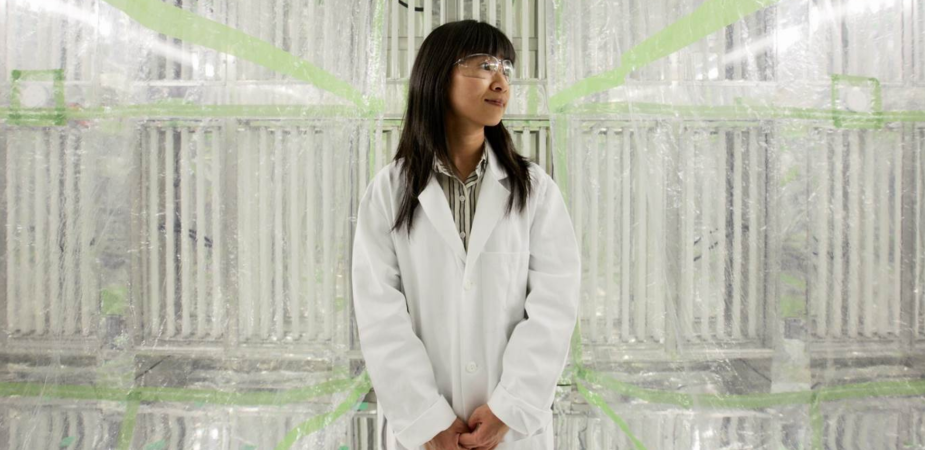 吳雅莉教授身處喬治亞理工學院實驗室內的環境室設施，她的研究工作加深了世界對氣溶膠和空氣污染這些課題的了解。