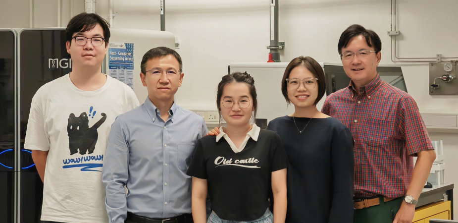 Corresponding authors: Prof. Qu Jianan (first right) from the Department of Electronic and Computer Engineering (ECE), and Prof. Liu Kai (second left) from the Division of Life Science (LIFS); co-first authors: ECE PhD graduate Dr. Wu Wanjie (second right), ECE PhD student He Yingzhu (center), and LIFS PhD student Chen Yujun (first left)