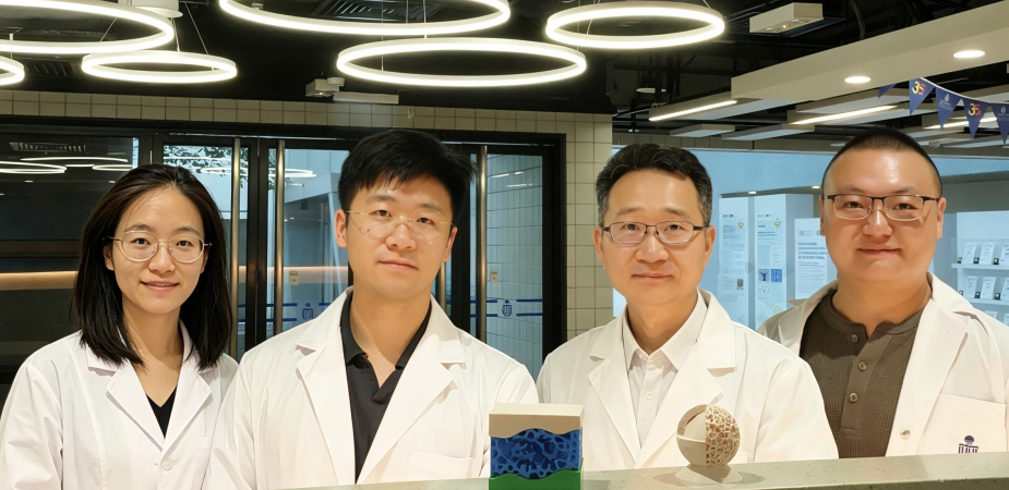 科大研究團隊，包括機械及航空航天工程學系教授楊晶磊教授（右二）、博士後研究員劉碧媛（左一）、張雍淋（左二）以及博士候選人韓昱子（右一），發現界面聚合背後的量子機制與理性設計原則——這項突破將推動海水淡化與微膠囊技術的應用發展。