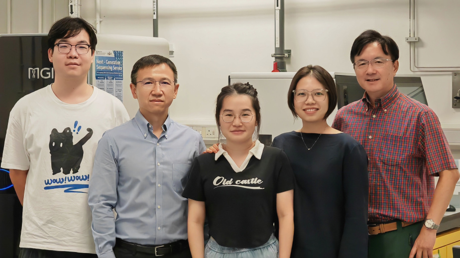 Corresponding authors: Prof. Qu Jianan (first right) from the Department of Electronic and Computer Engineering (ECE), and Prof. Liu Kai (second left) from the Division of Life Science (LIFS); co-first authors: ECE PhD graduate Dr. Wu Wanjie (second right), ECE PhD student He Yingzhu (center), and LIFS PhD student Chen Yujun (first left)