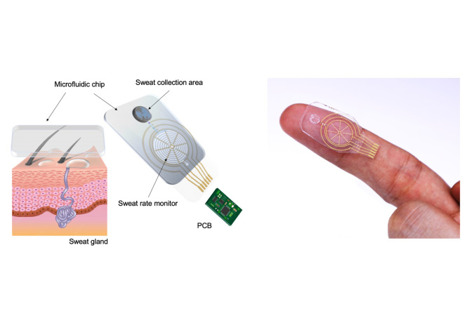 The sweat sensor comes in the form of a petite, unobstructive, and transparent patch that could be easily incorporated into a wearable. 