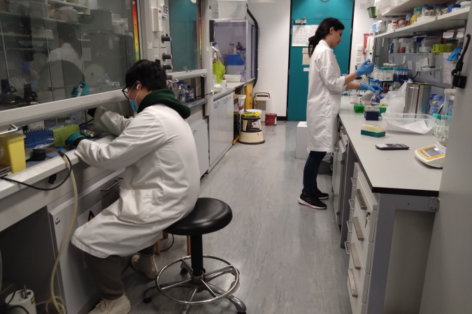 The Drug Delivery and Biomaterials Laboratory at HKUST