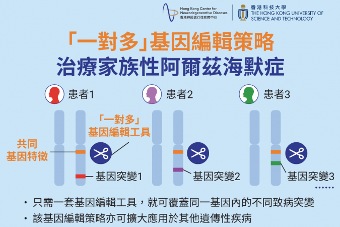 香港科大及香港神经退行性疾病中心的研究团队开发了一种新型的「一对多」基因编辑策略，用於治疗家族性阿尔兹海默症（FAD）。