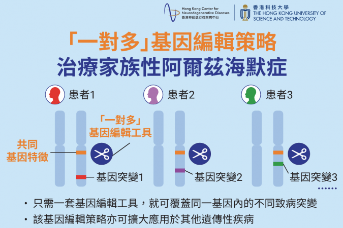 香港科大及香港神經退行性疾病中心的研究團隊開發了一種新型的「一對多」基因編輯策略，用於治療家族性阿爾茲海默症（FAD）。