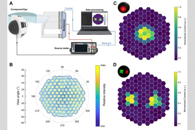 Imaging capability of the pinhole compound eye camera.