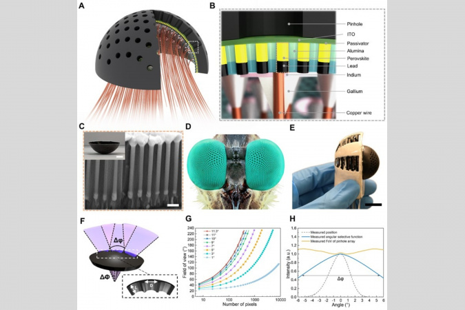 Schematic illustration and images of the pinhole compound eye camera and integrated components.