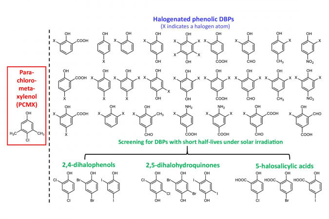 Schematic illustration of screening halogenated phenolic DBPs for potential disinfectants based on their structural properties and photodegradation kinetics