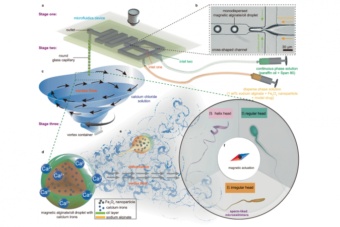 Illustration of the production of polymorphous sperm-like microswimmers using the Vortex Turbulence-Assisted Microfluidics platform.