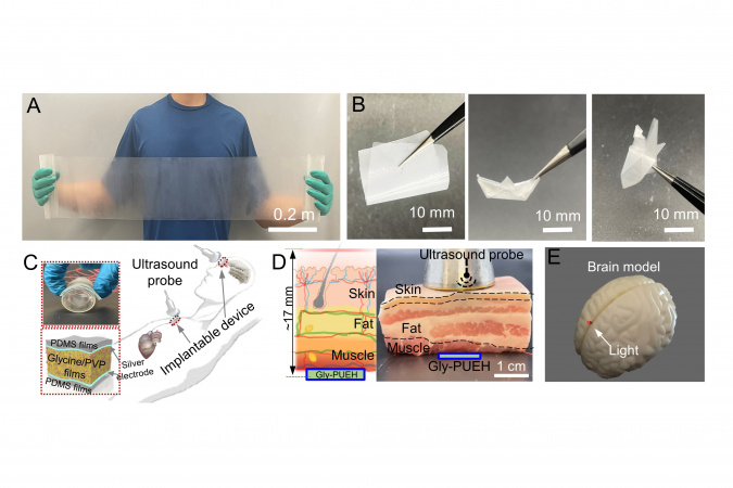 Photographs of a roll of glycine films (A, B) and schemes of through-tissue wireless ultrasonic energy transfer by implanted glycine-based device for in vivo electricity generation and optogenetics (C-E).