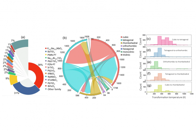 Statistics of classified ferroelectric phase transformation dataset