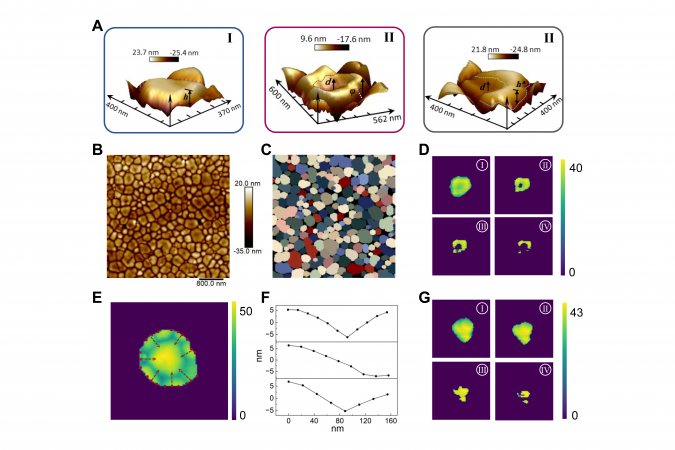 This diagram visualizes the working mechanisms of GrainBot segmentation and measurement modules.