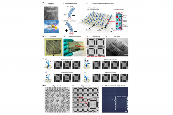 Schematics showing the electrically driven hydrogel microactuator fabrication, mechanism and devices.