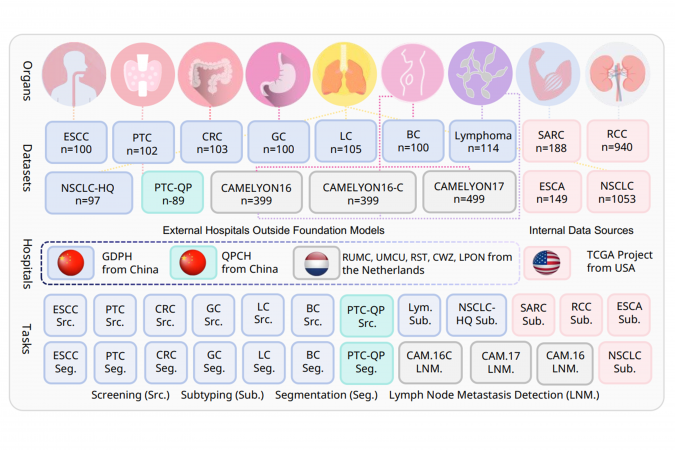 研究團隊使用來自中國、美國、荷蘭等多所醫療機構的 23 個國際基準數據集，對PRET系統進行全面驗證，涵蓋 18 種癌症類型及不同診斷任務。