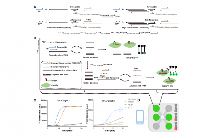 Schematic of the TEMPO principle: a thermodynamically engineered DNA primer pair delays CRISPR activation until sufficient target has accumulated, ordering amplification and detection automatically within a single tube.
