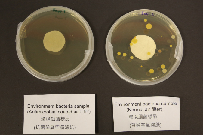 使用科大抗菌塗層空氣濾紙(左)的環境細菌樣本，與使用普通空氣濾紙(右)樣本的比較。