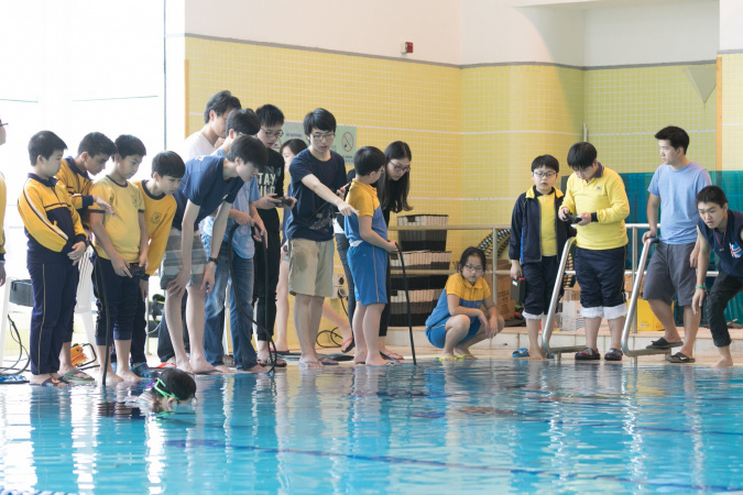 Joint school competition that demonstrated great teamwork. Students from different school teams cooperate and finish the assigned tasks.