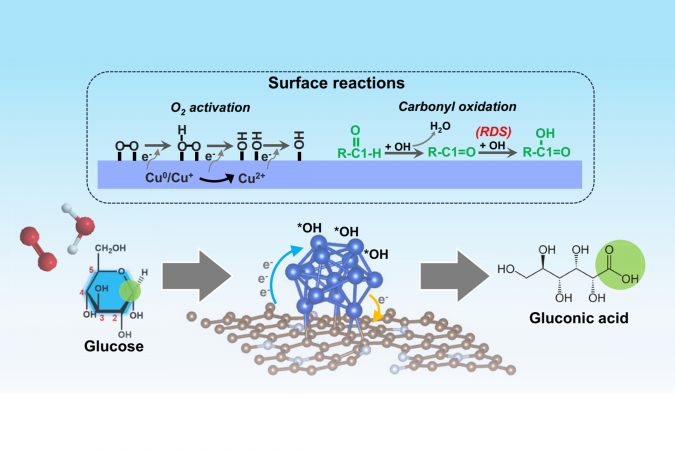Innovative catalytic mechanism for selective biomass oxidation: The schematic illustrates the in-situ generation of surface-bound hydroxyl radicals on low-valence copper (Cu⁰/Cu⁺) sites, enabling highly selective carbonyl oxidation using only ambient air and water. This green catalytic pathway eliminates the need for traditional oxidants and represents a significant advancement in sustainable biomass conversion.