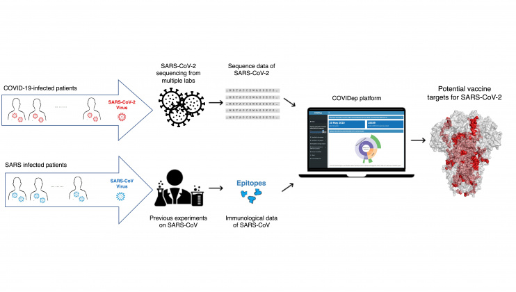 HKUST Sets Up a Platform for Real-time Reporting of Vaccine Target Recommendations for COVID-19 HKUST Sets Up a Platform for Real-time Reporting of Vaccine Target Recommendations for COVID-19