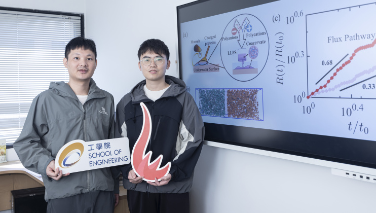 Prof. Chen Shensheng (left) and PhD student Wu Zongpei (right) simulated the whole process of liquid-liquid phase separation from start to finish, revealing how mussels instantly glue themselves to rocks. Their research holds significant implications for developing instant biocompatible surgical glues and programmable smart materials.