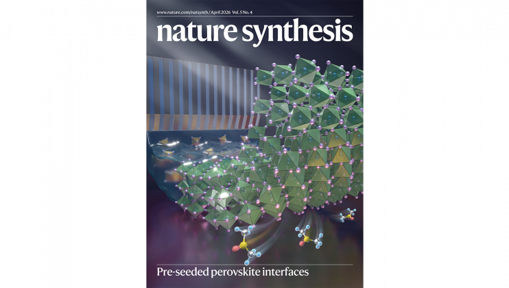 Conceptual illustration showing how the “slow-release solvent” strategy repairs buried interfaces in perovskite thin films. This research was published in Nature Synthesis and featured as the journal’s cover article for the April 2026 issue (Volume 5, Issue 4).